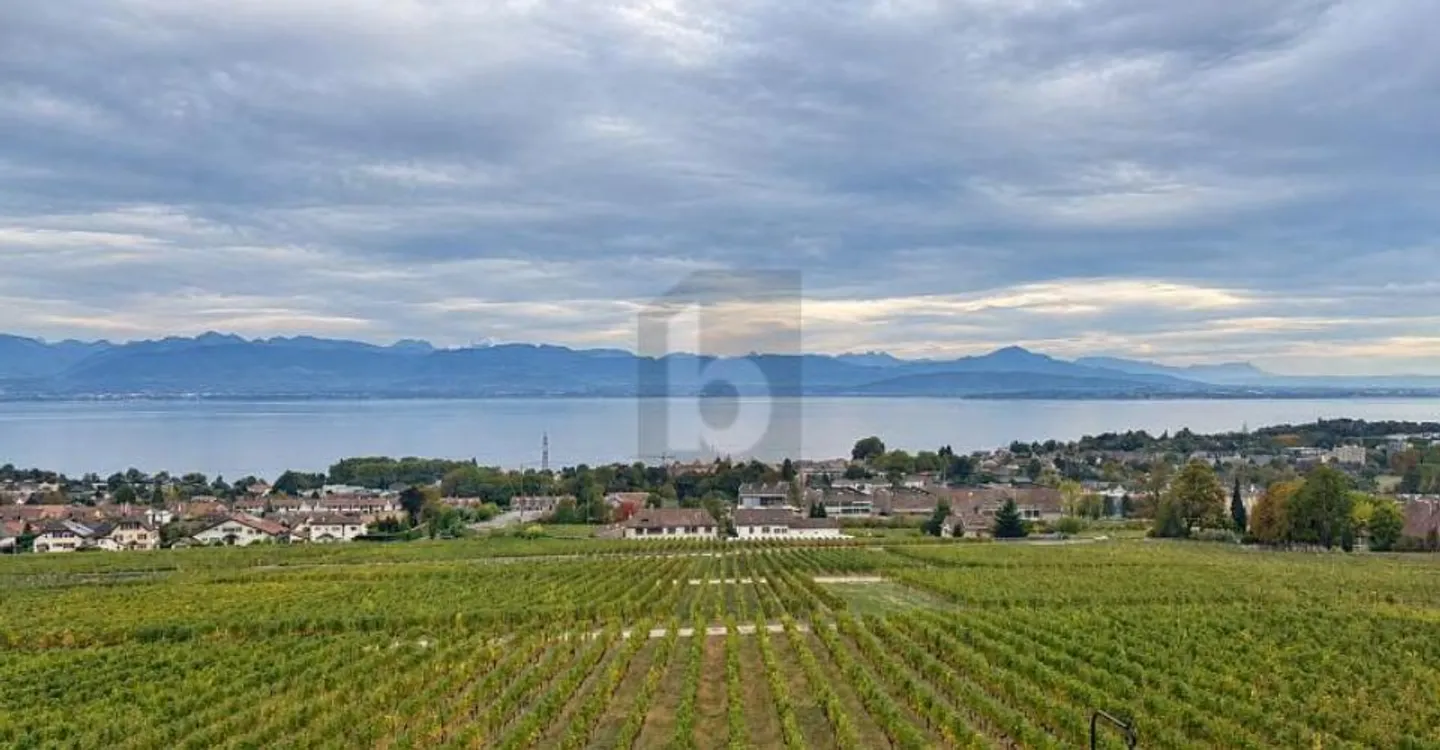 PENTHOUSE MIT PANORAMABLICK AUF DEN GENFERSEE - Foto 2 von 6
