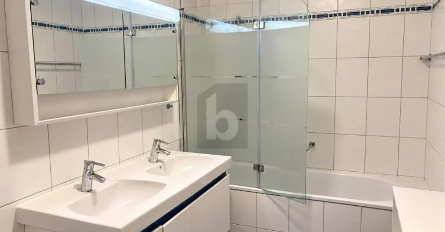 PENTHOUSE MIT PANORAMABLICK AUF DEN GENFERSEE - Foto 5 von 6