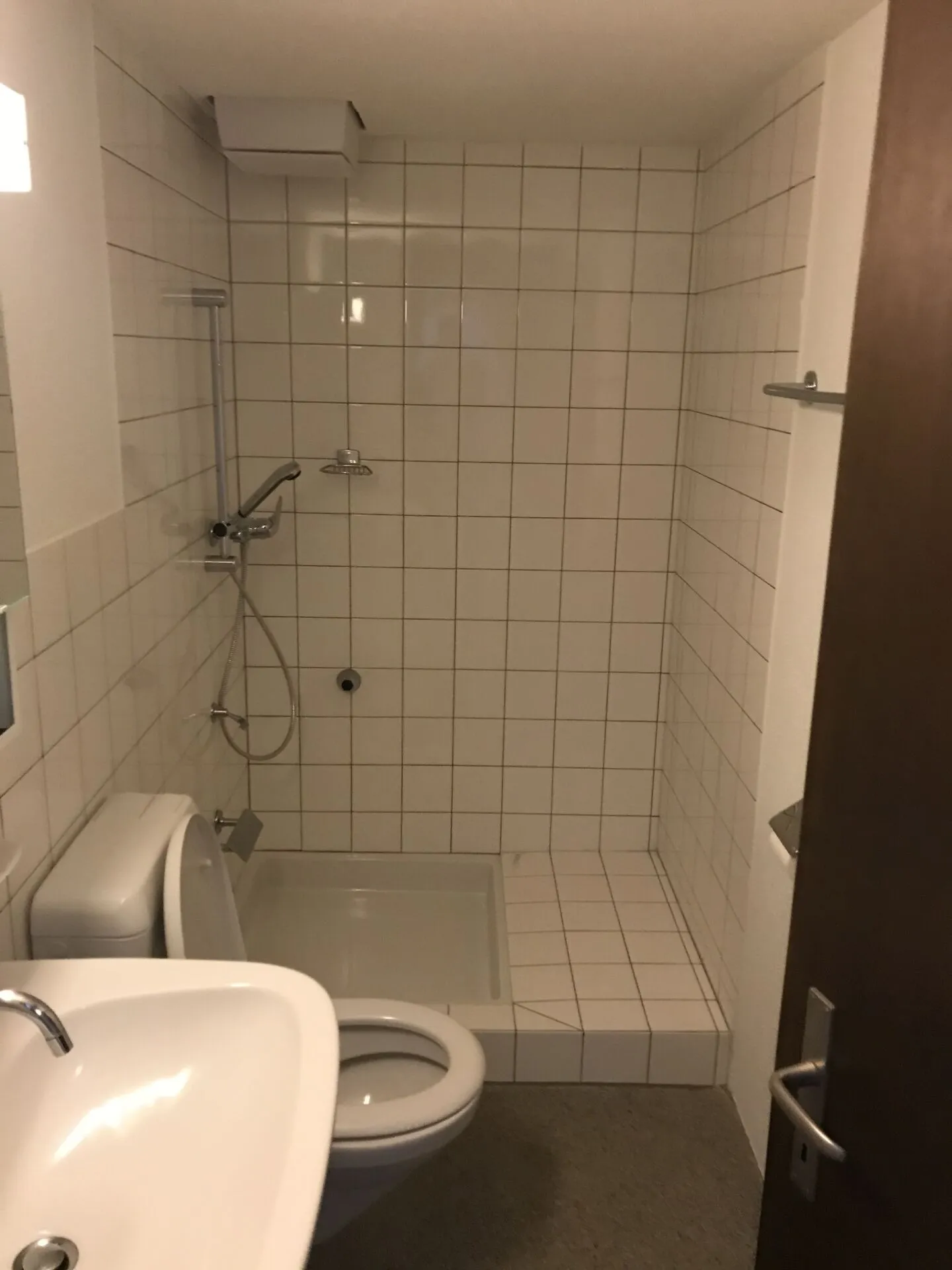 Appartamento 6.5 stanze con grande terrazza sul tetto e doppio garage - Foto 9 di 11