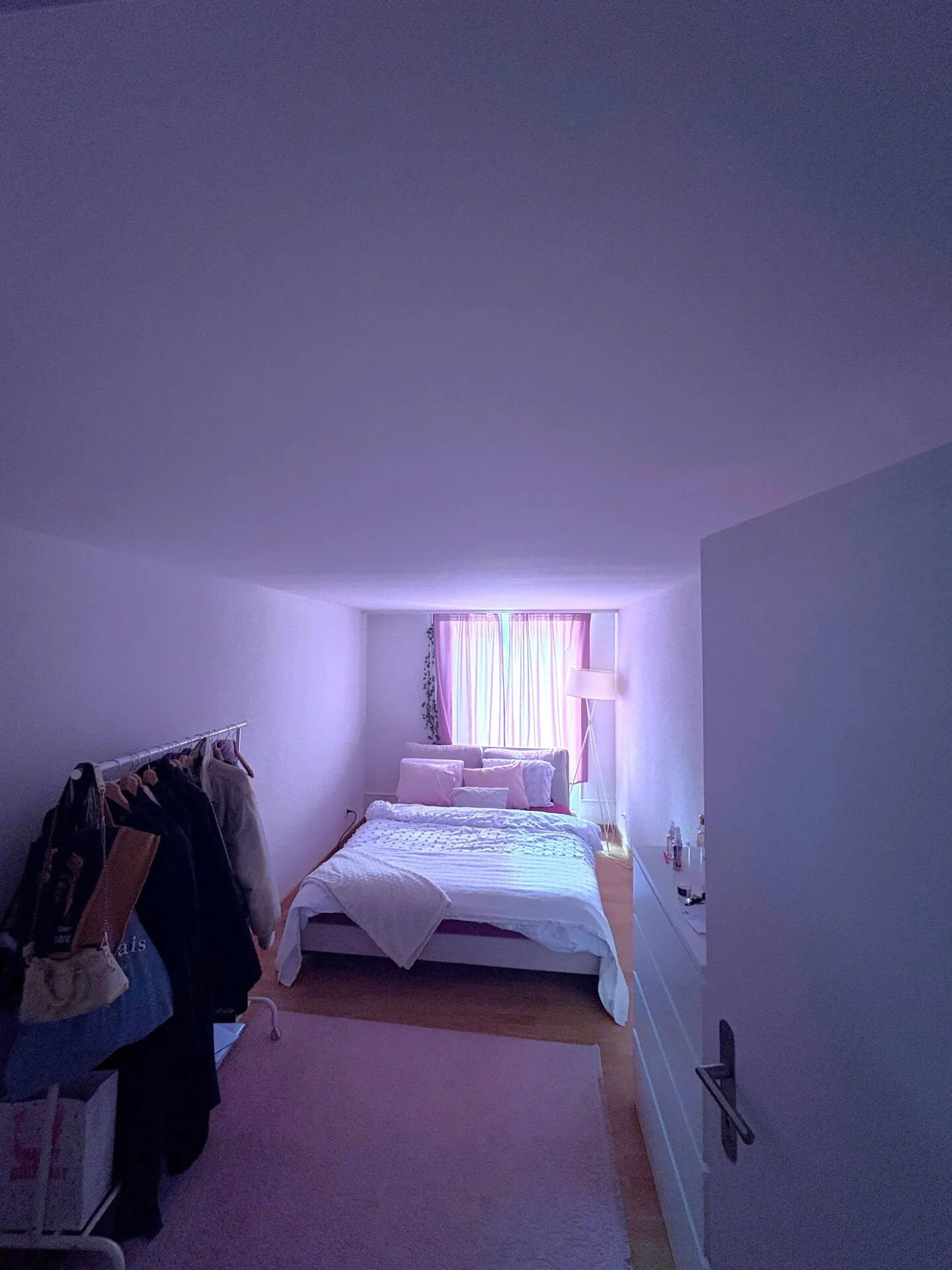 Appartamento in affitto - Foto 4 di 4