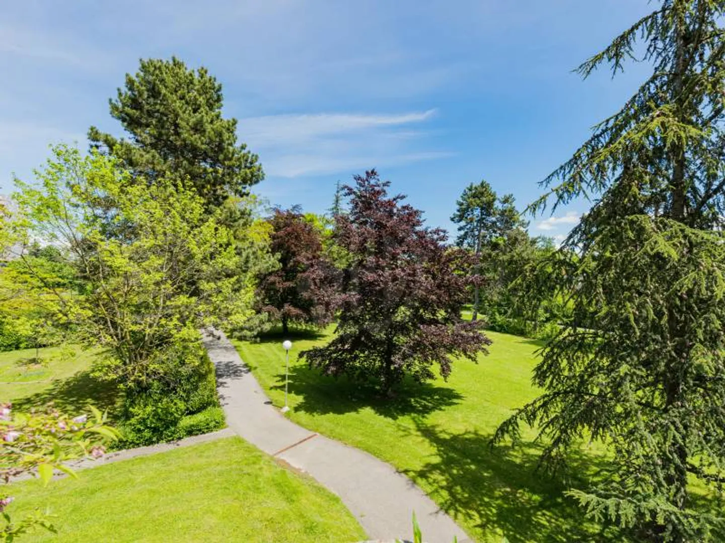 Appartamento spazioso - Le Grand-Saconnex - Foto 3 di 4