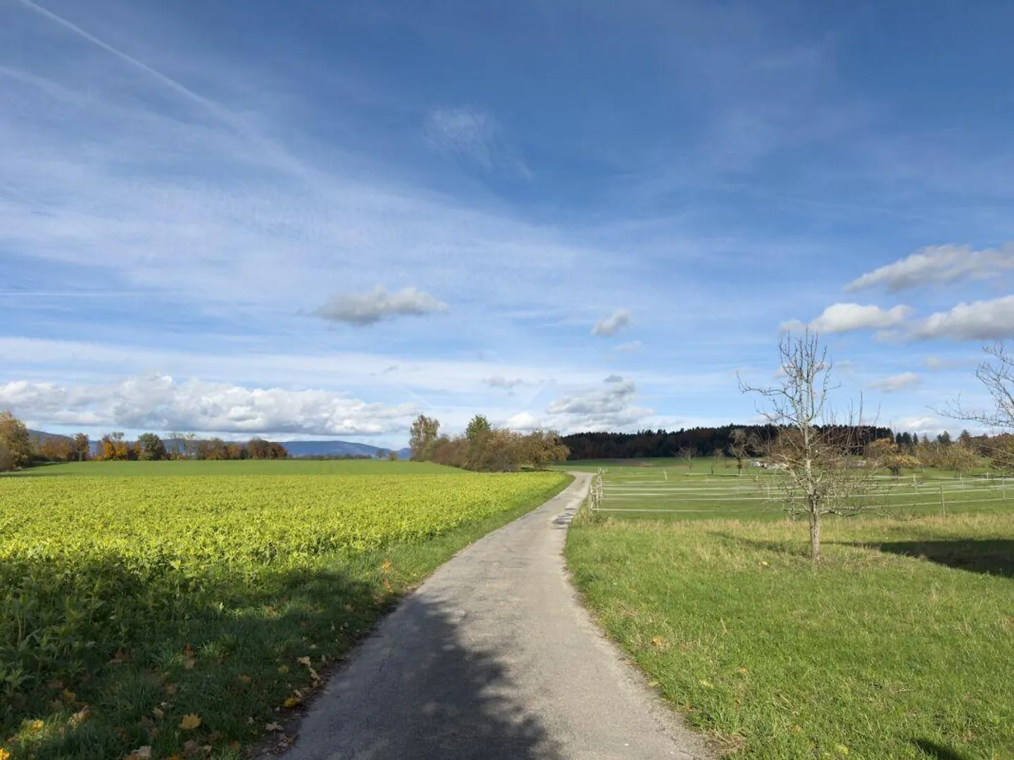 Ampio appartamento con galleria di 5,5 stanze con balcone soleggiato - Foto 26 di 26