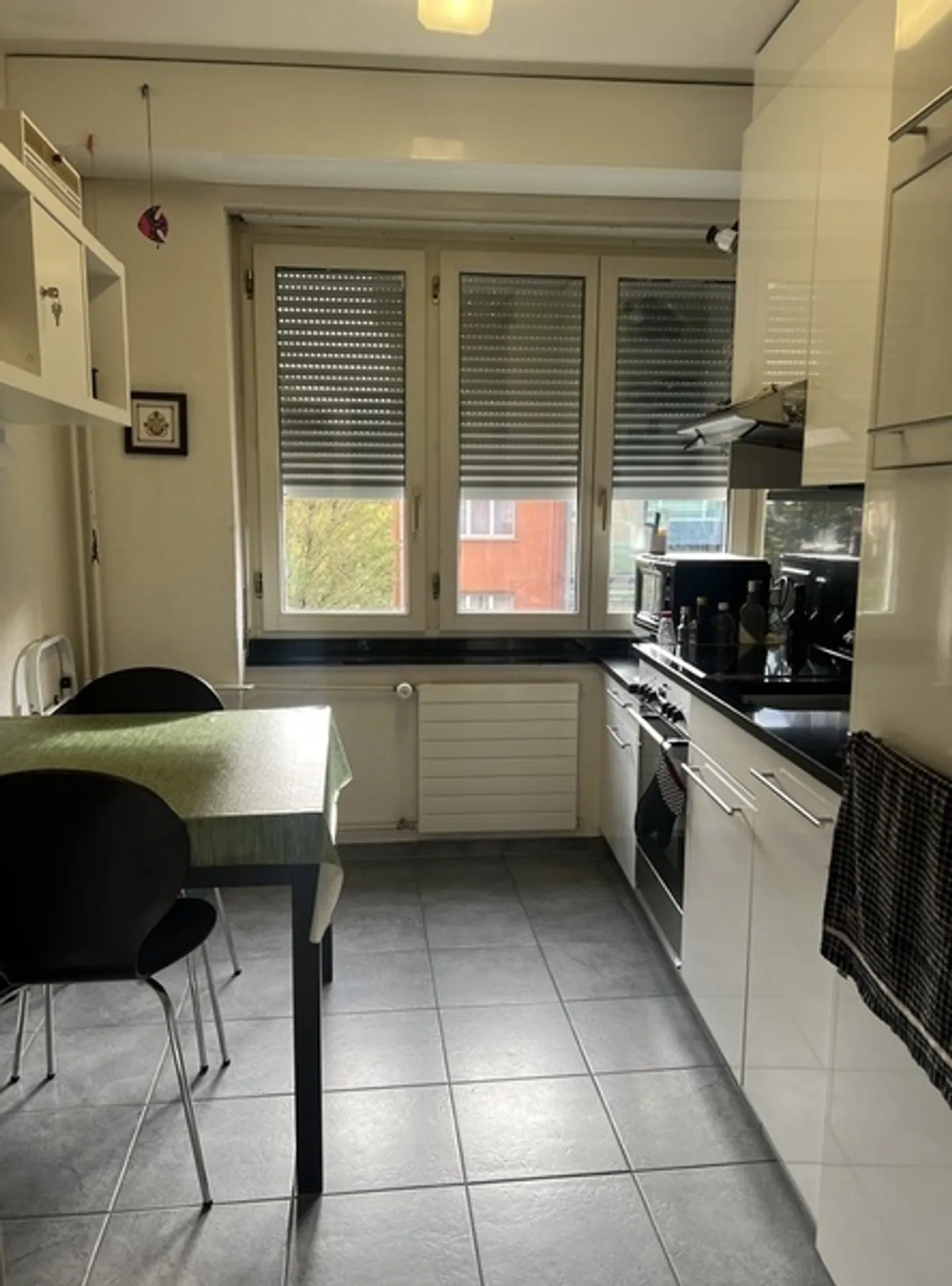 2½ ROOM APARTMENT IN ZURICH - DISTRICT 7, FURNISHED, TEMPORARY - Photo 4 of 5