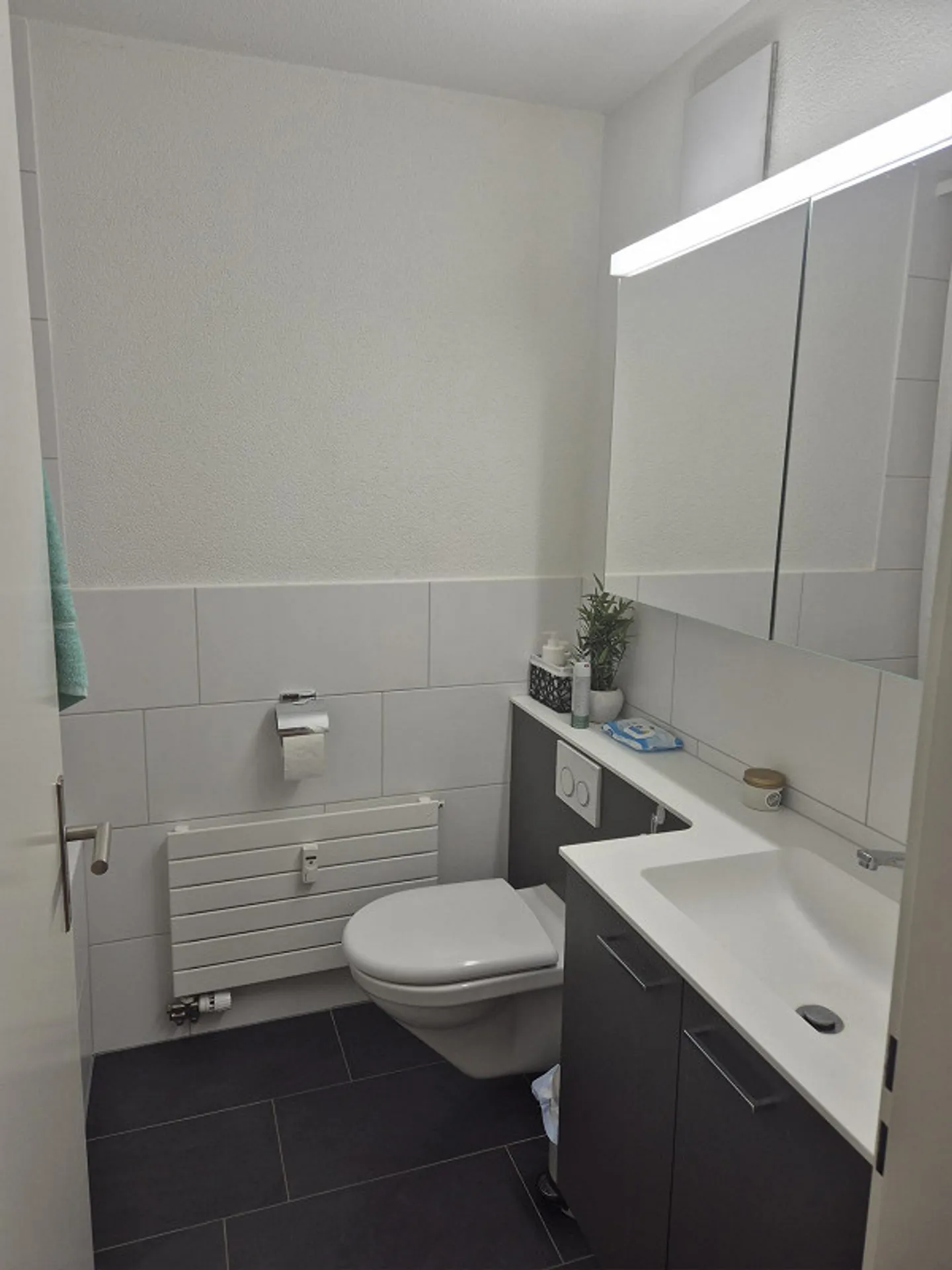 Charmante Wohnung in Affoltern - Foto 6 von 9