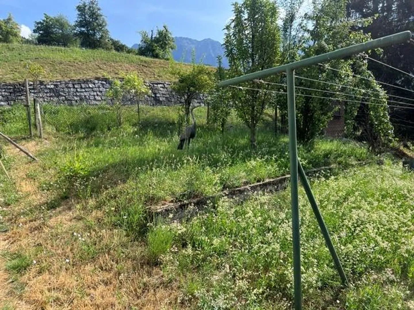 Maison unifamiliale de 7,5 pièces à Marolta - Photo 27 sur 30