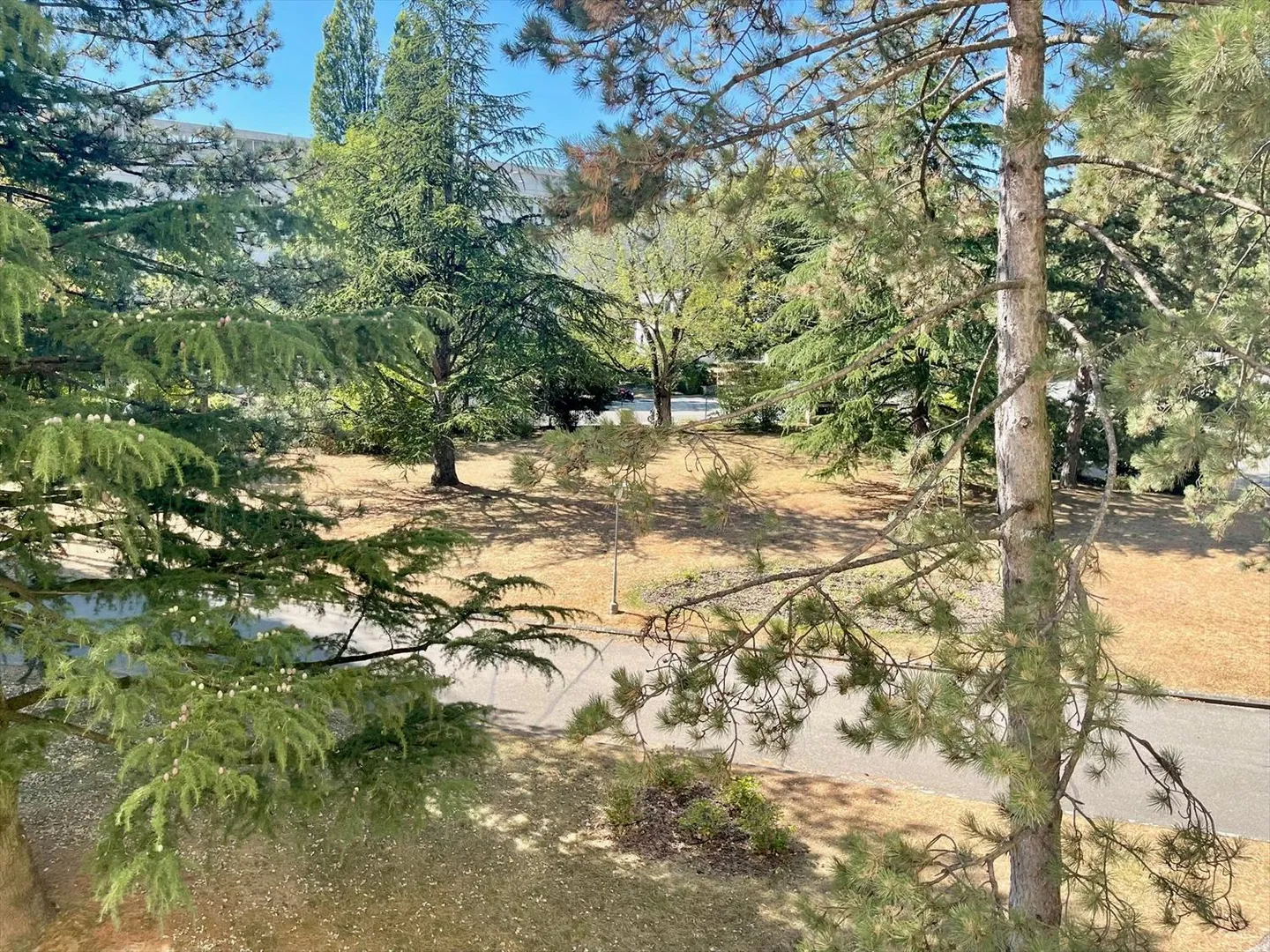 3,5-Zimmer-Wohnung - Foto 11 von 12