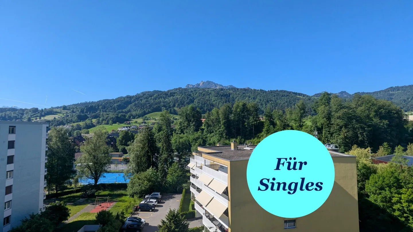 Spacious 1.5-room apartment with a beautiful view - Photo 1 of 8