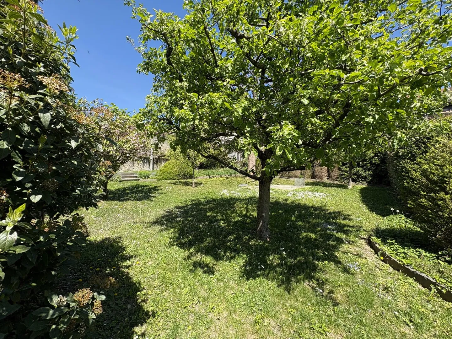 Magnifico appartamento di 5,5 stanze con giardino privato - Foto 1 di 7
