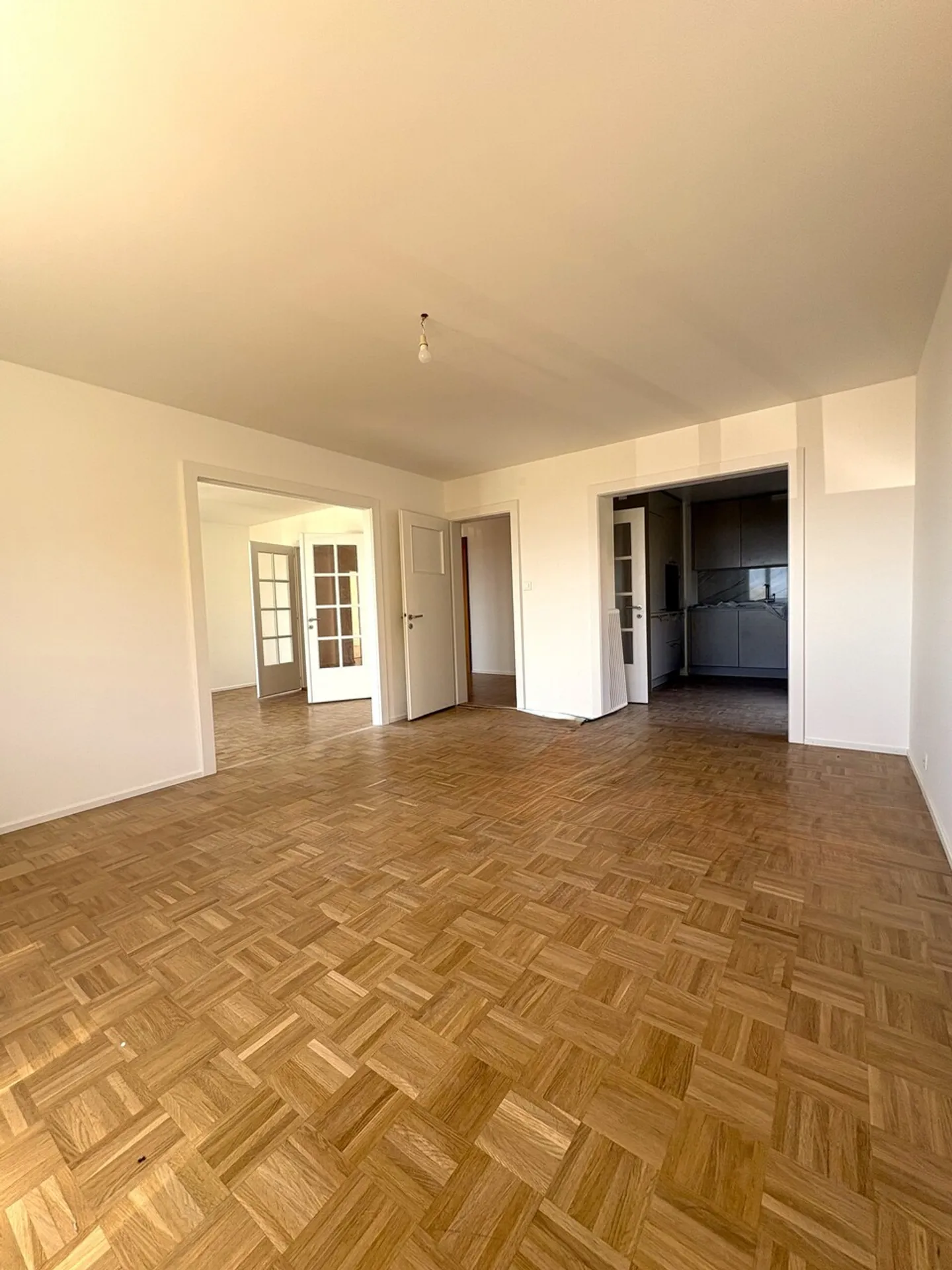Magnifico appartamento di 5,5 stanze con giardino privato - Foto 3 di 7