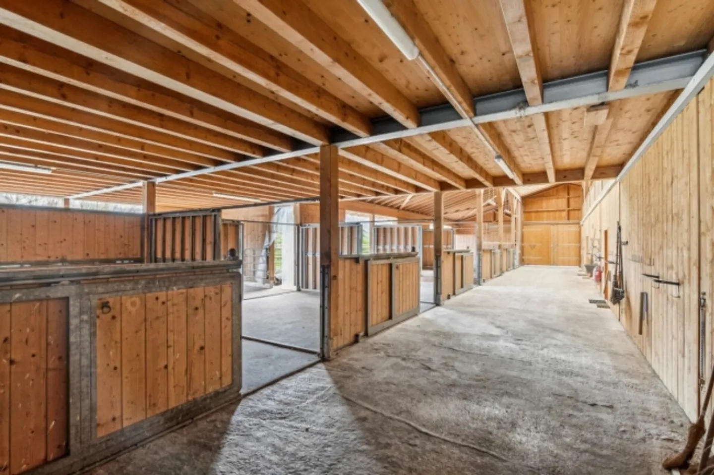 Situato centralmente - Proprietà equestre con maneggio e casa residenziale - Foto 1 di 20