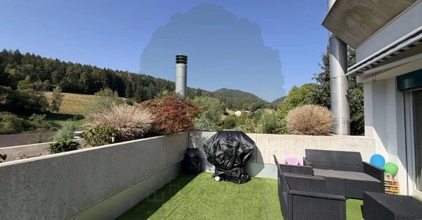 Magnifico appartamento ristrutturato di 5,5 locali con terrazza e vista - Foto 3 di 12