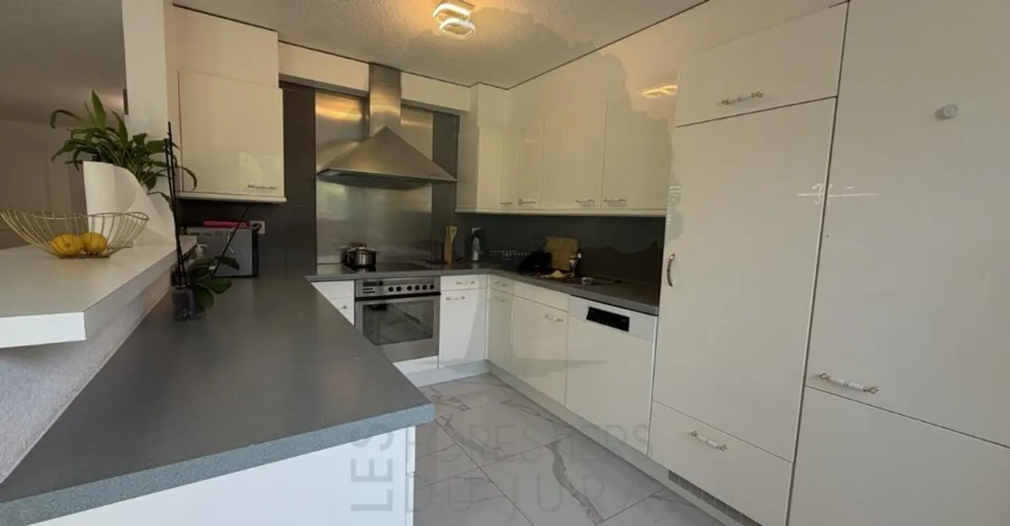 Magnifico appartamento ristrutturato di 5,5 locali con terrazza e vista - Foto 8 di 12