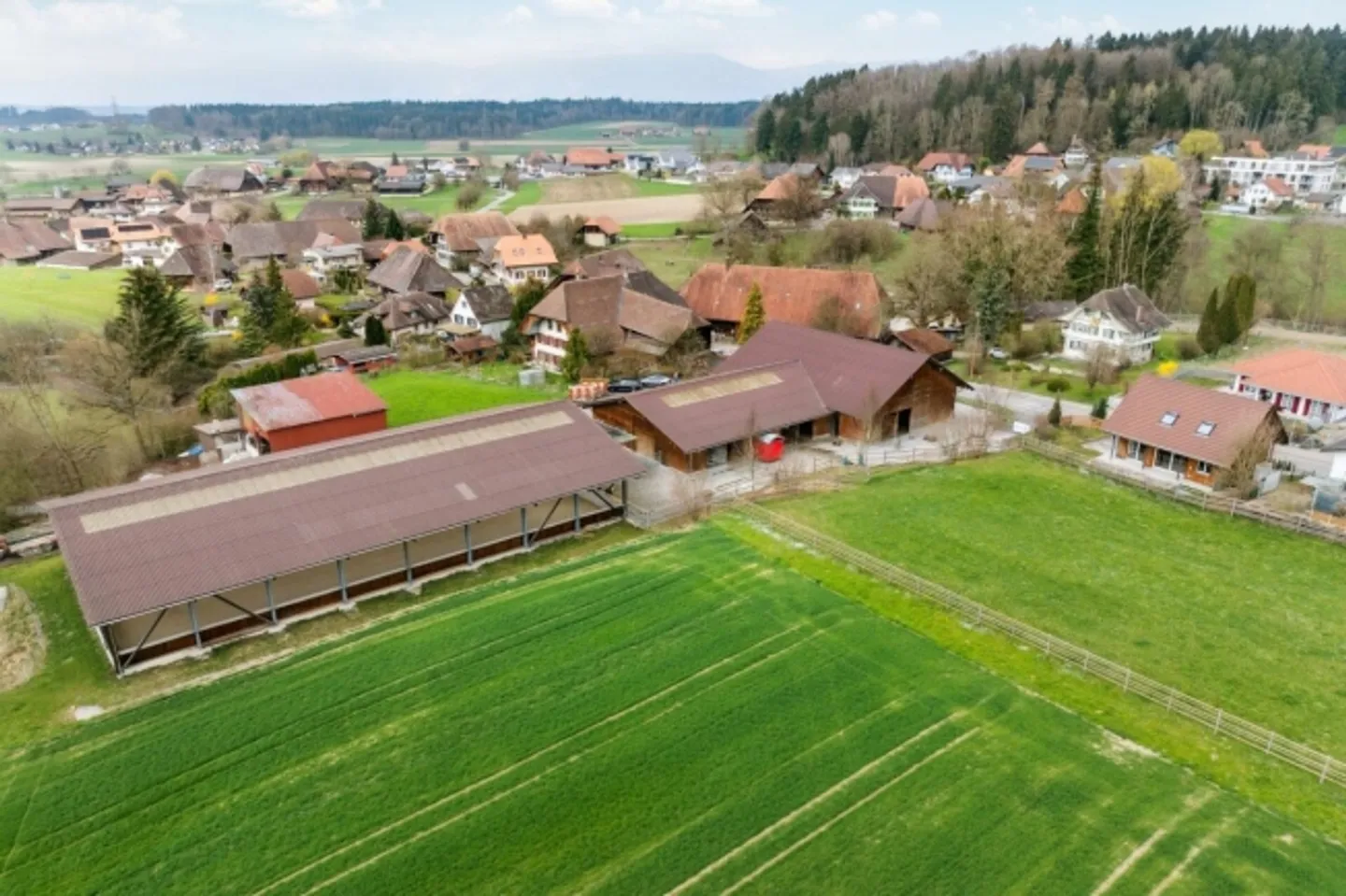 Situato centralmente - Proprietà equestre con maneggio e casa residenziale - Foto 4 di 20