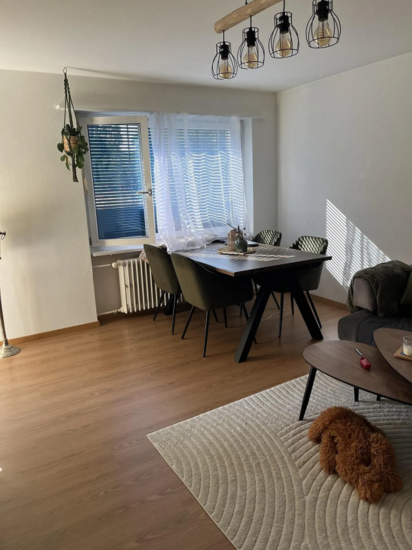 Appartamento di 3 stanze a Winterthur - Foto 1 di 6