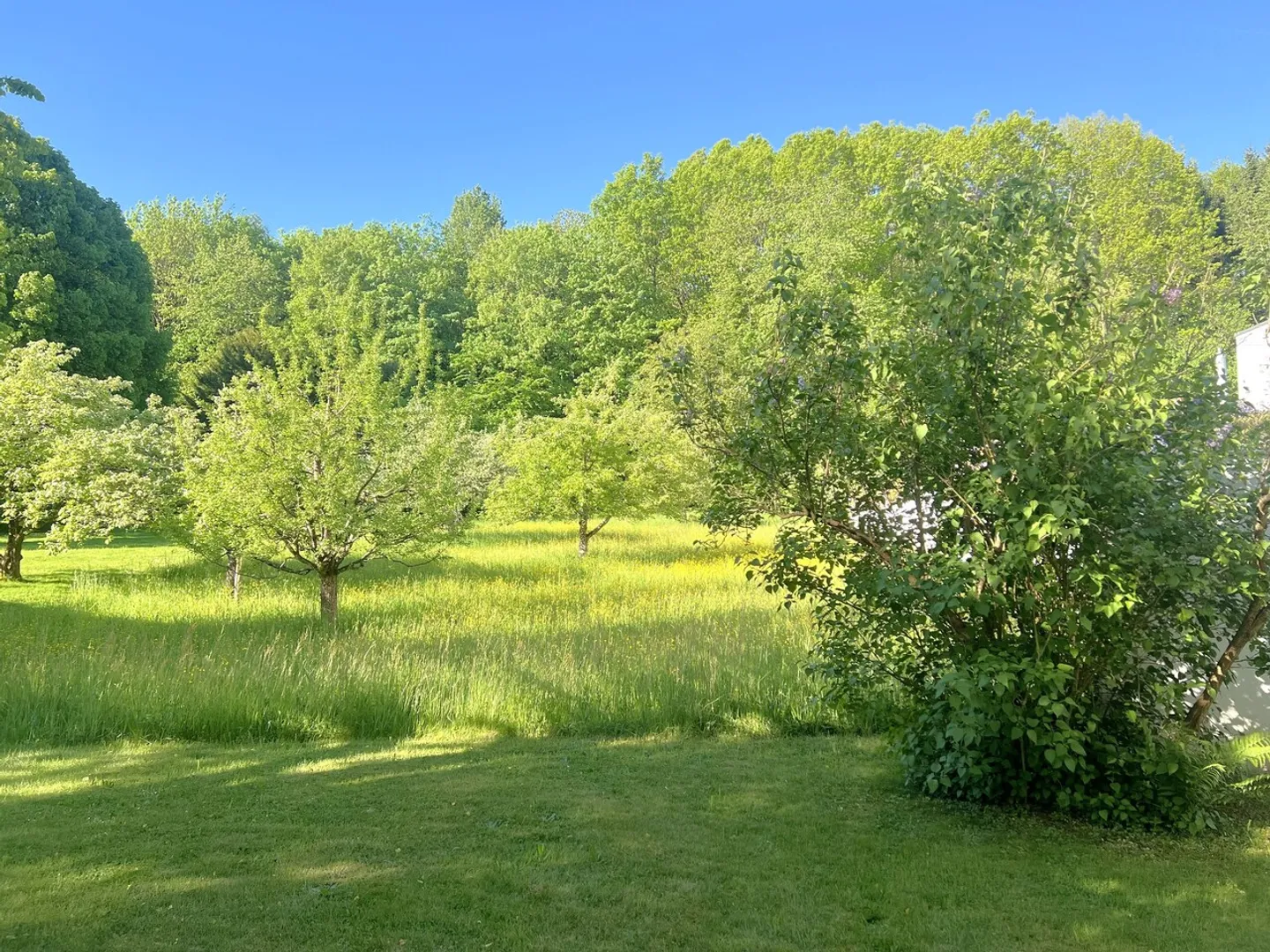 Idylle et générosité – Maison individuelle de 7 pièces avec jardin et terrasse sur le toit - Photo 17 sur 17