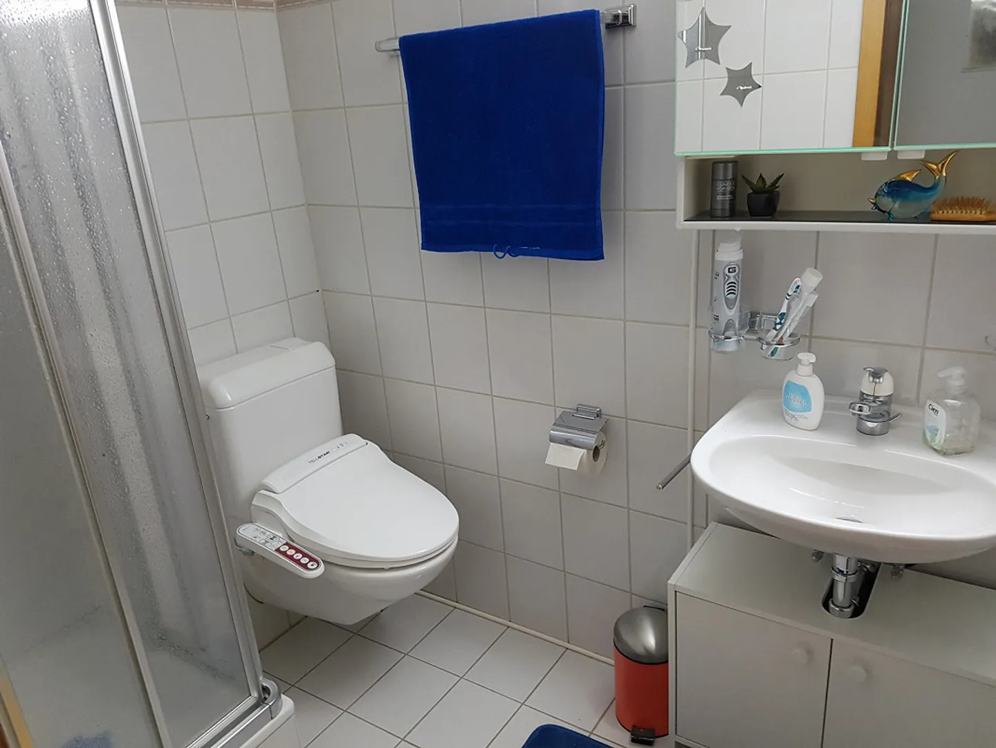 St. German b.Visp 4.5 EGW Sonnenplateau an Investor m. Mieterübernahme - Foto 10 von 21