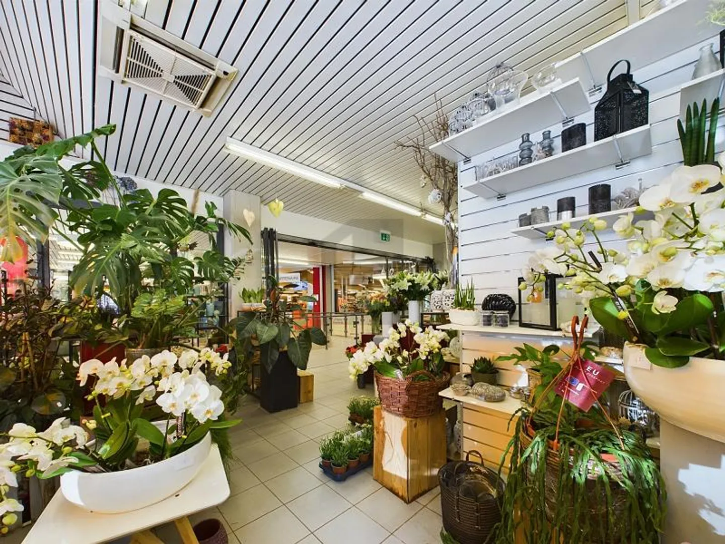 Shop for rent - Photo 3 of 5