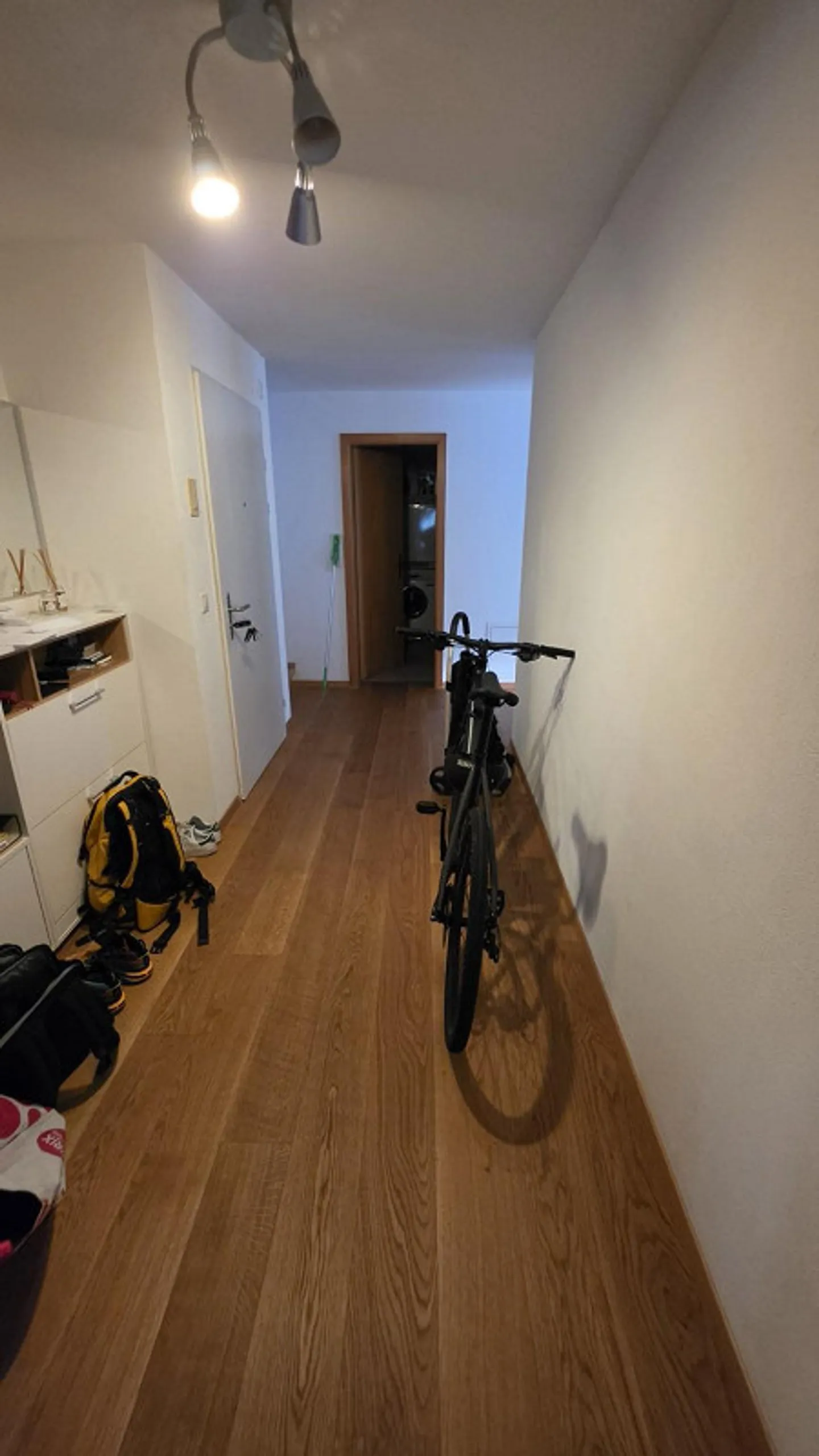 Recherche d'un nouveau locataire pour un appartement penthouse exclusif dans la vieille ville de Chur. - Photo 14 sur 16