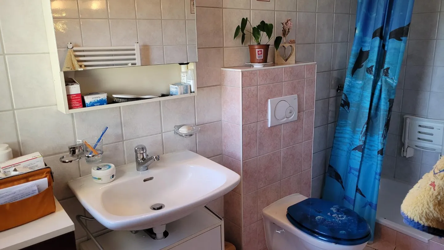 Villa with 9 rooms - Photo 16 of 17