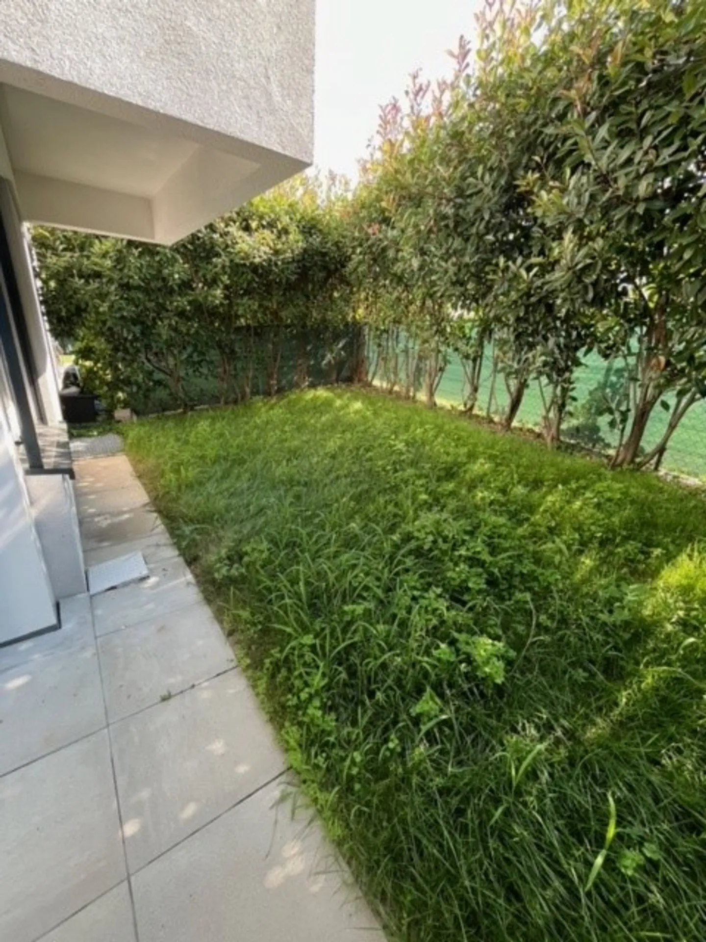 VENDESI MONOLOCALE CON GIARDINO - Foto 7 di 7