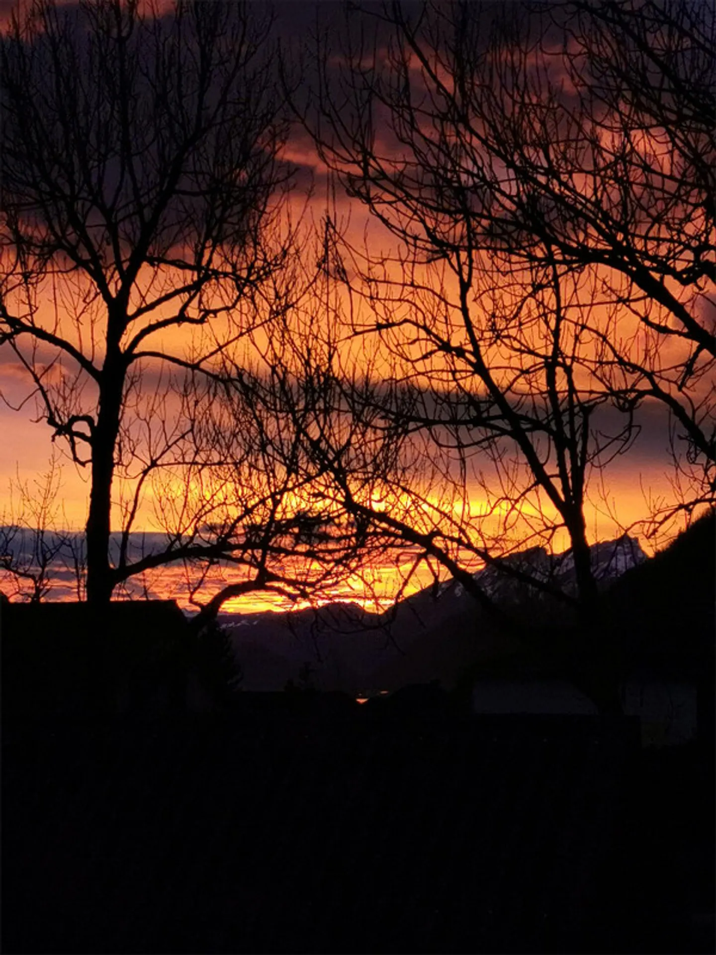 Appartement exclusif de 4,5 pièces avec ventilation de confort, grande terrasse - Photo 2 sur 13