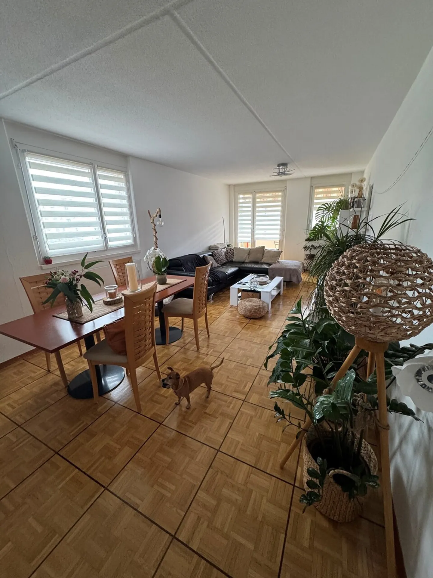For investors, rented 4.5-room apartment - Photo 3 of 4