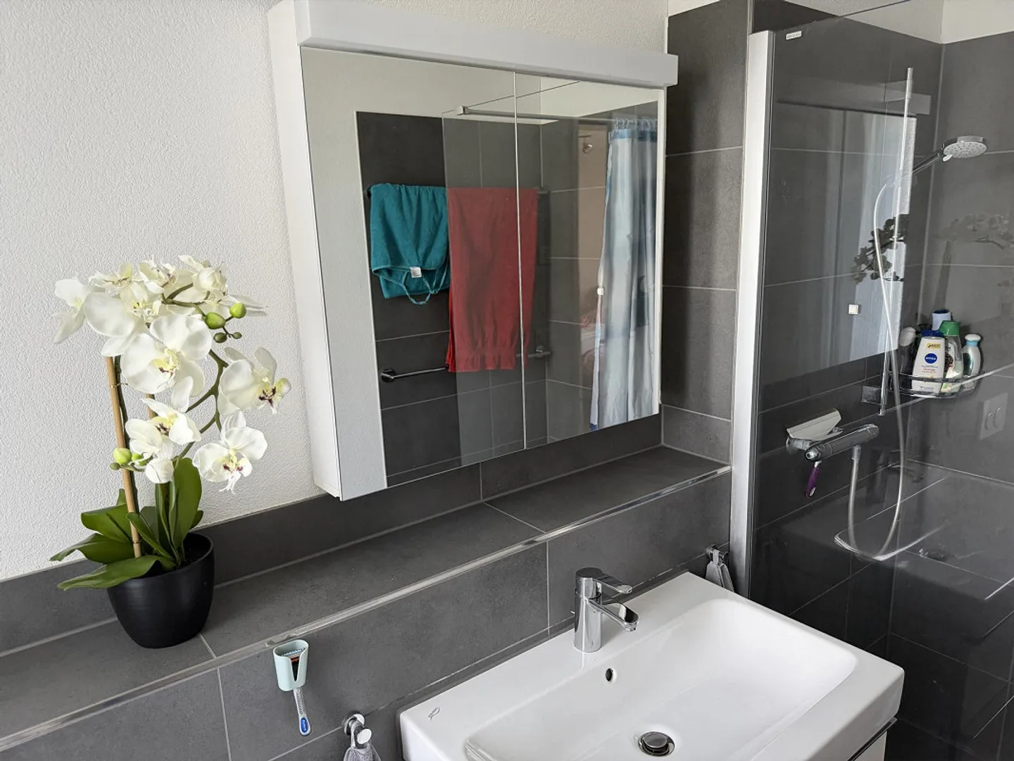 Vue sur la zone verte avec beaucoup d'intimité - Photo 14 sur 31