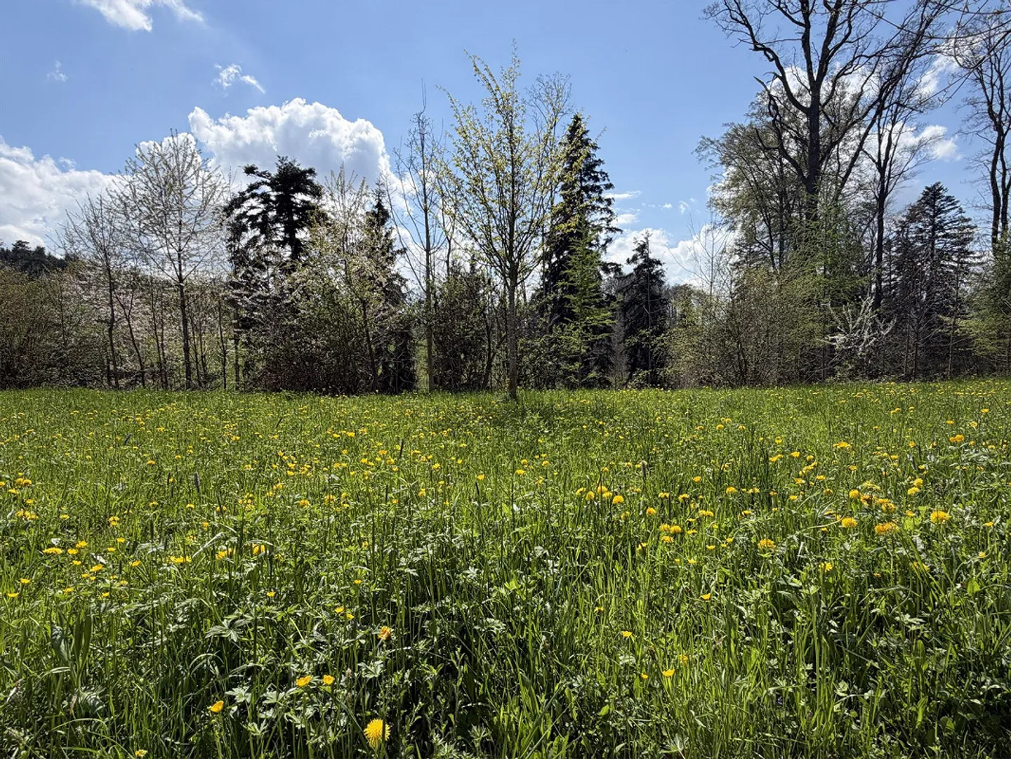 Vue sur la zone verte avec beaucoup d'intimité - Photo 23 sur 31