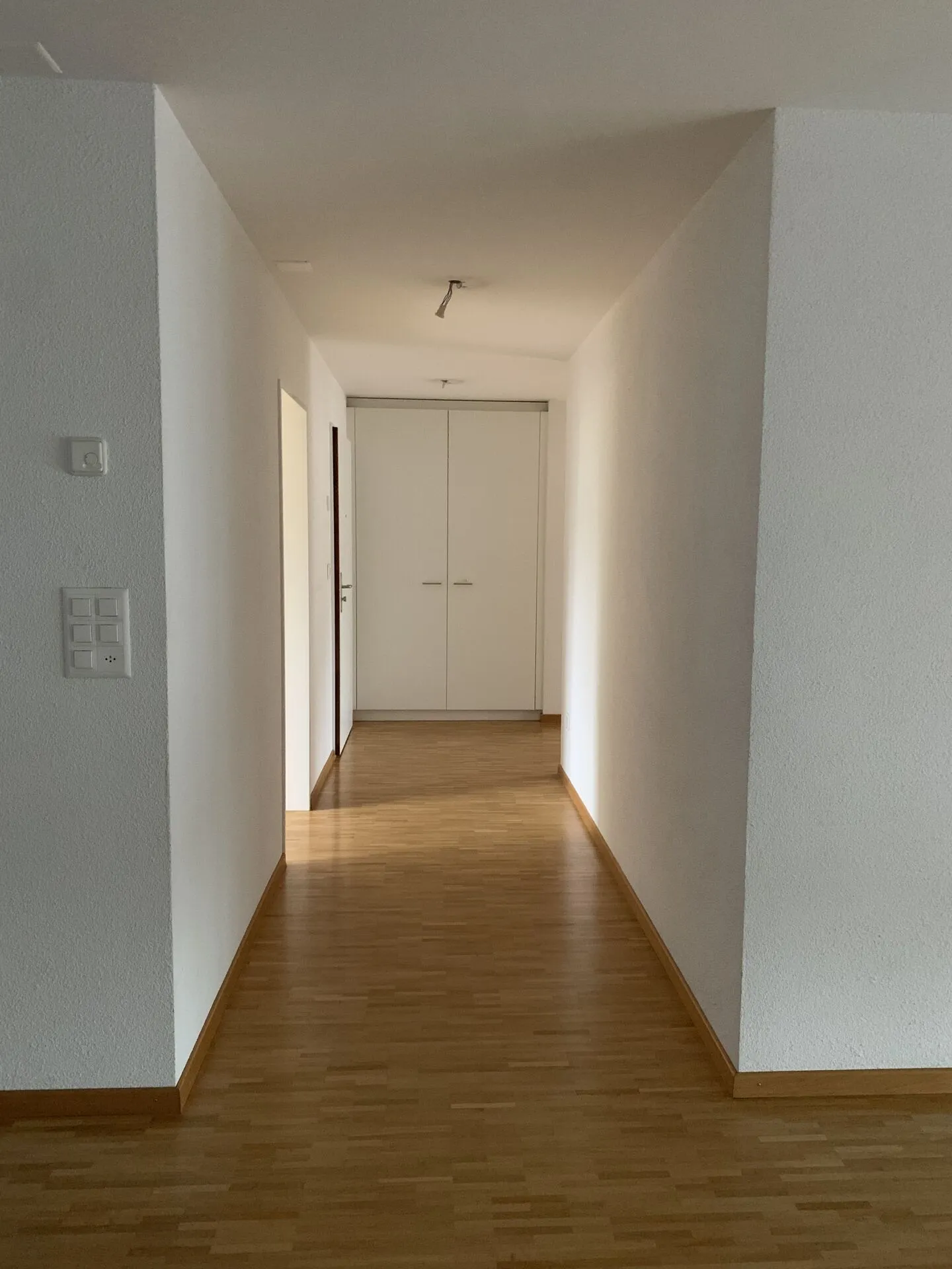 Bell'appartamento cerca un nuovo inquilino! - Foto 4 di 9