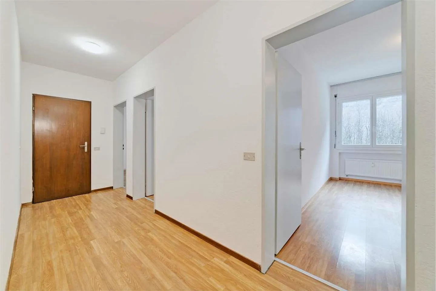SPACIOUS AND BRIGHT 4.5 ROOMS IN BODIO - Photo 1 of 13