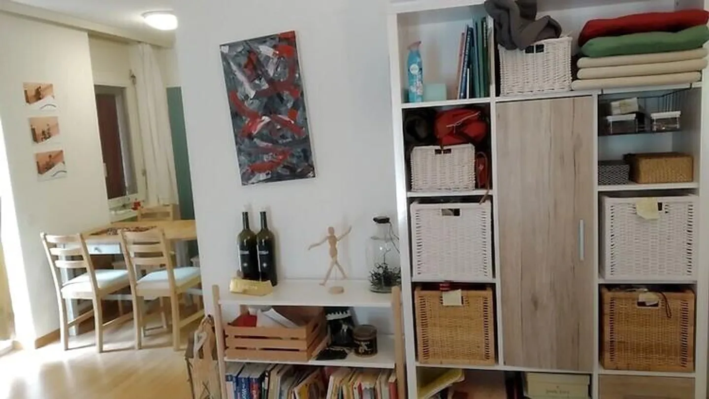 APPARTAMENTO 2½ STANZE A ZURIGO - DISTRETTO 4, ARREDATO, TEMPORANEO - Foto 3 di 10