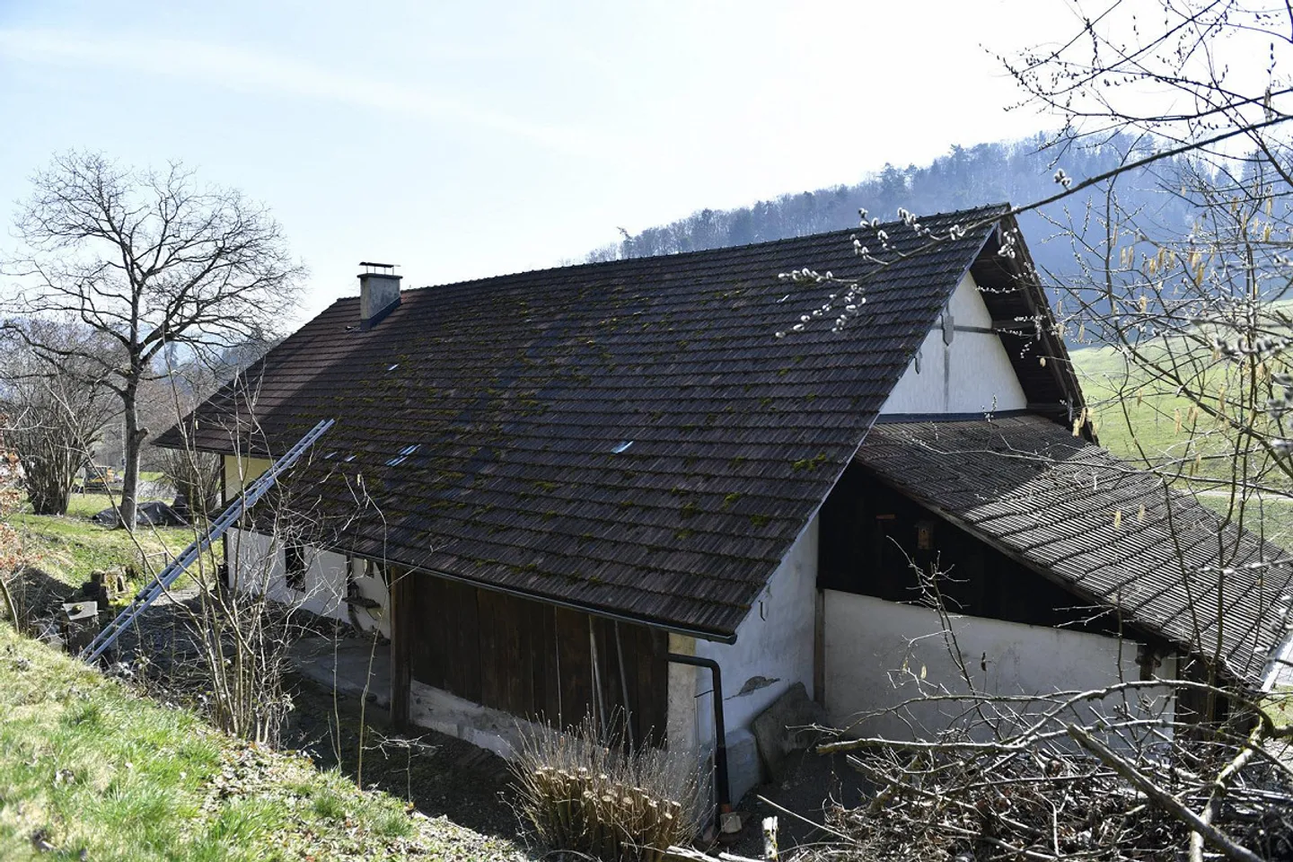 Ferme en bois sur la pente ensoleillée – un paradis naturel de 1771 - Photo 6 sur 17