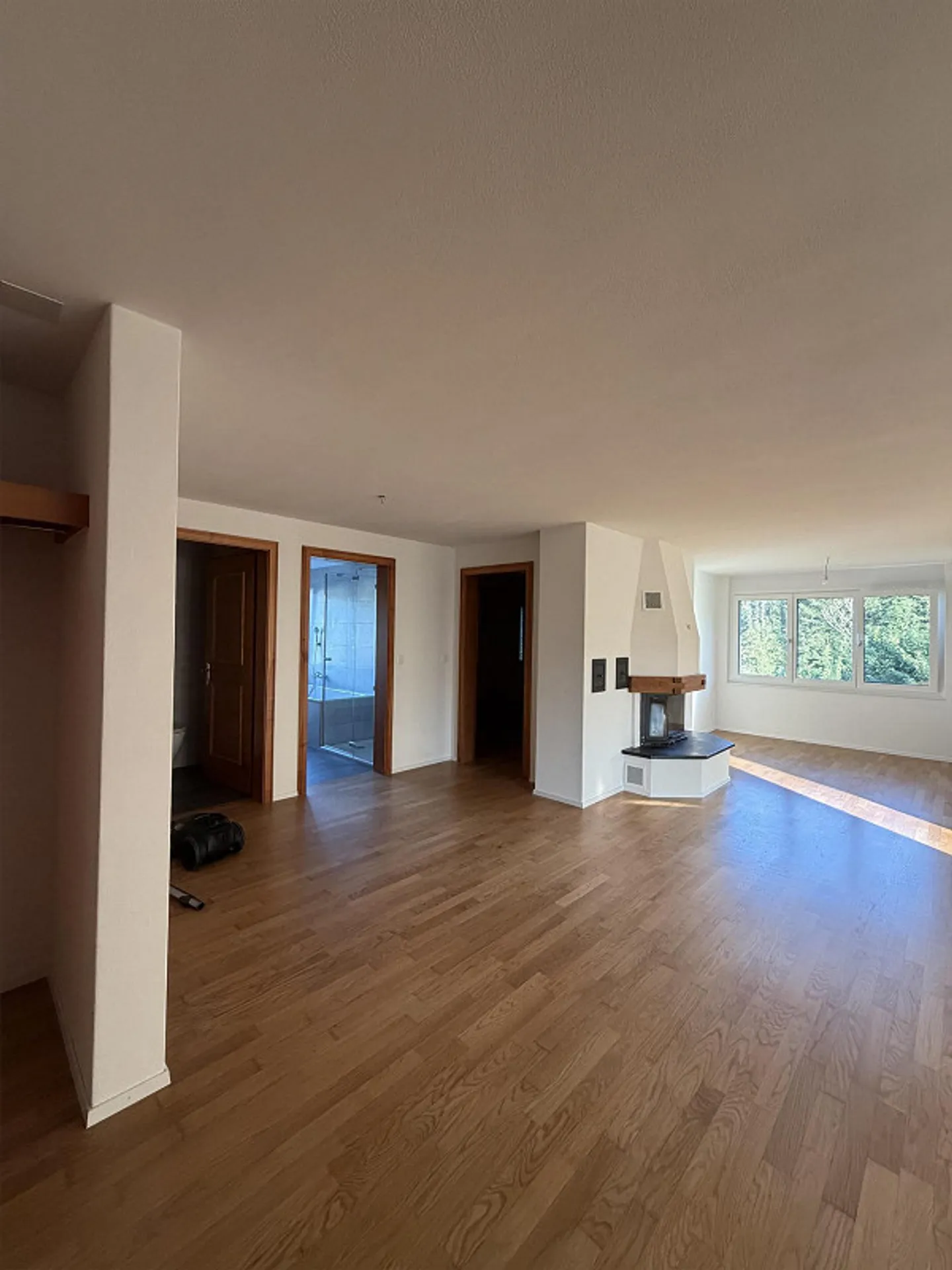 Charming 3.5 Room Apartment - Photo 2 of 10