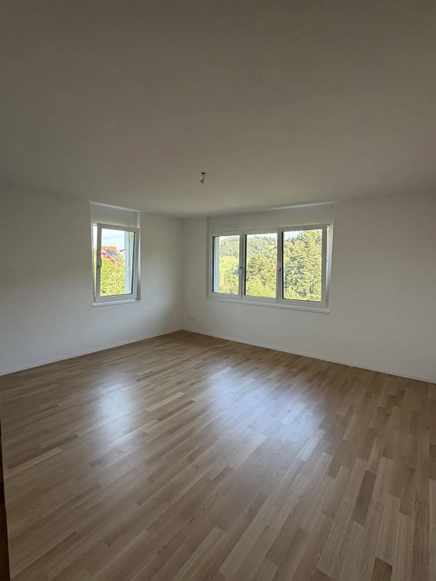 Charming 3.5 Room Apartment - Photo 3 of 10