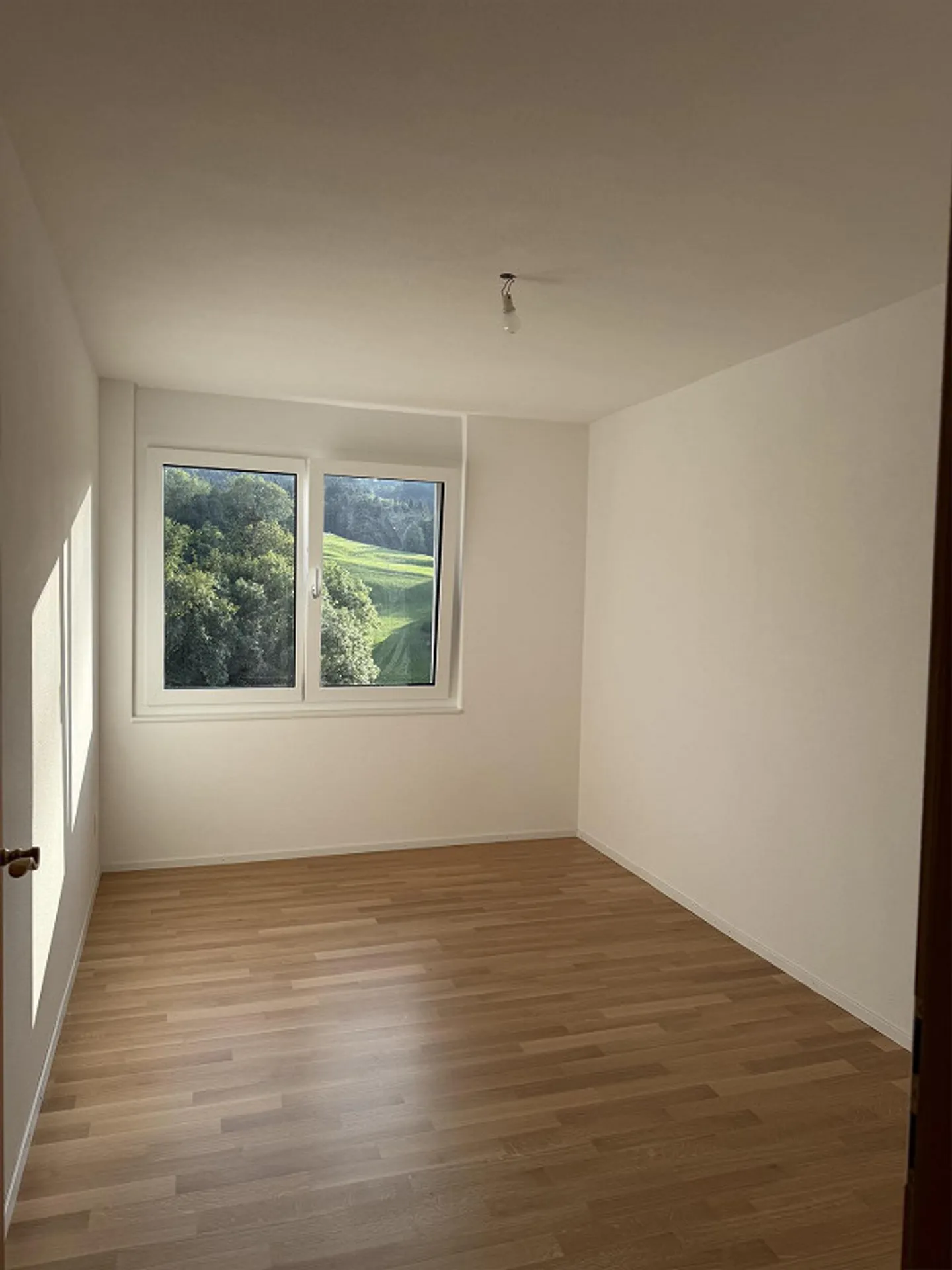 Charming 3.5 Room Apartment - Photo 4 of 10