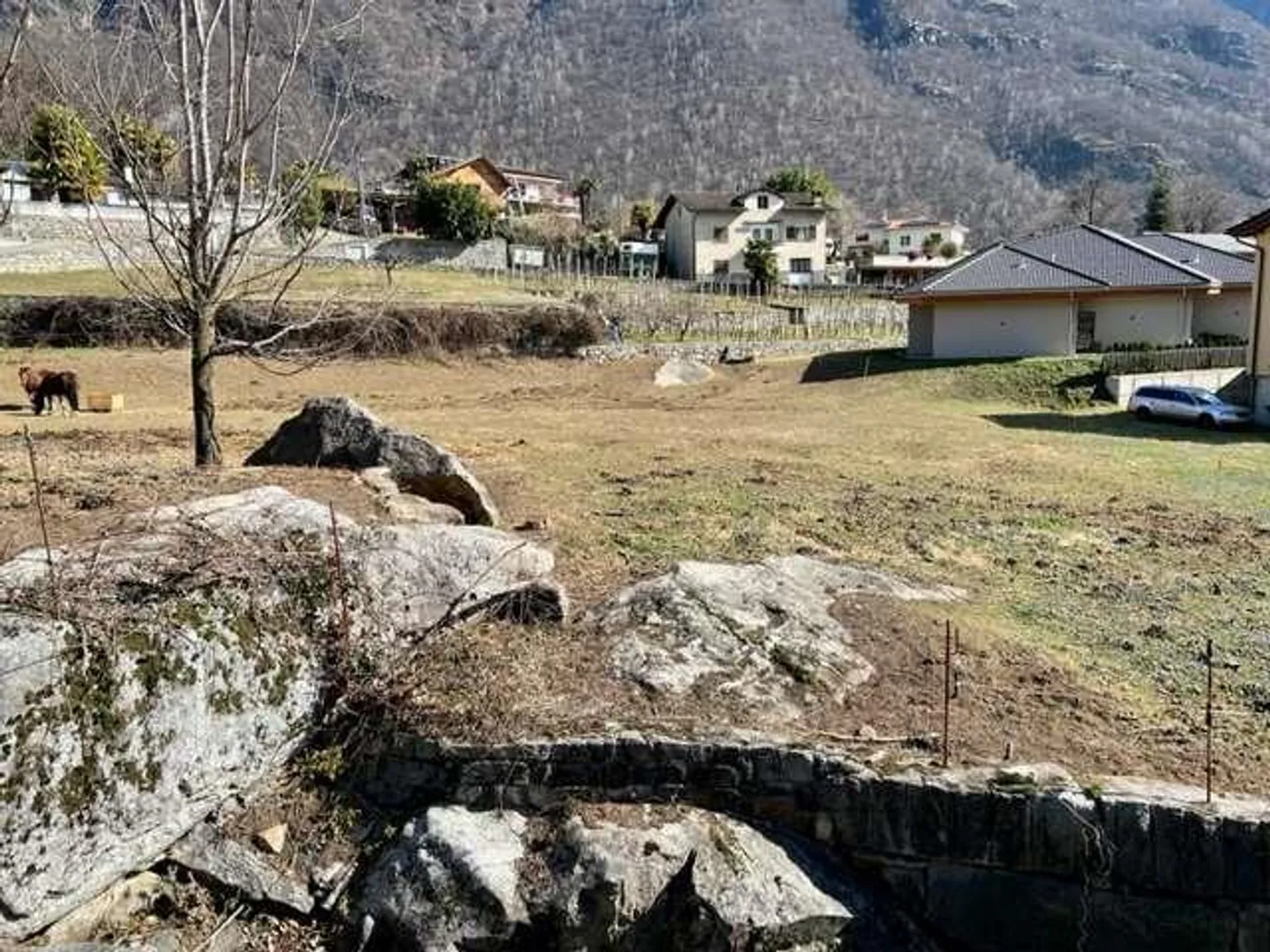 Interessantes flaches Baugrundstück - Foto 2 von 5