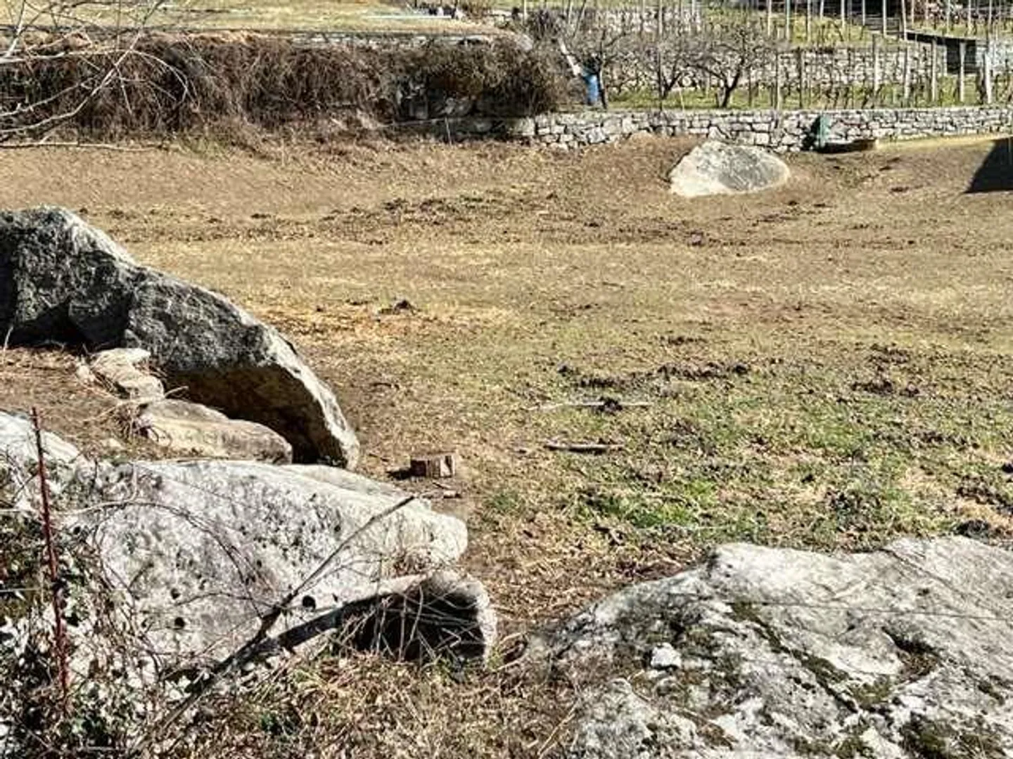Interessantes flaches Baugrundstück - Foto 3 von 5