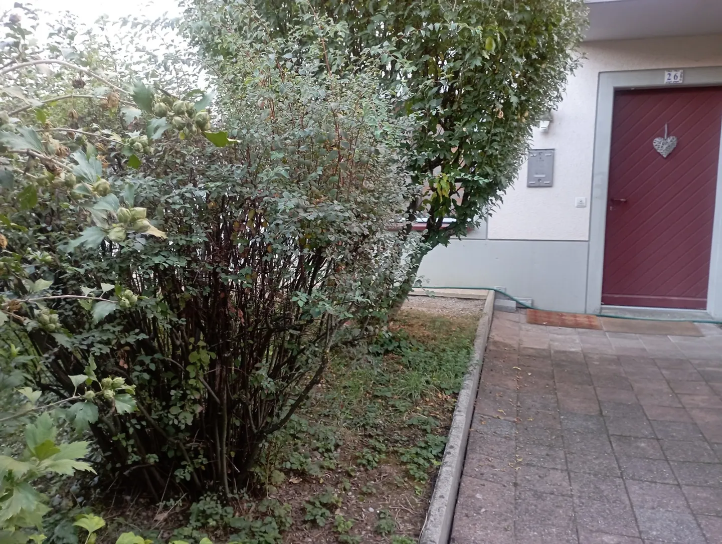 Charmante Gartenwohnung in Bernex - Foto 2 von 16