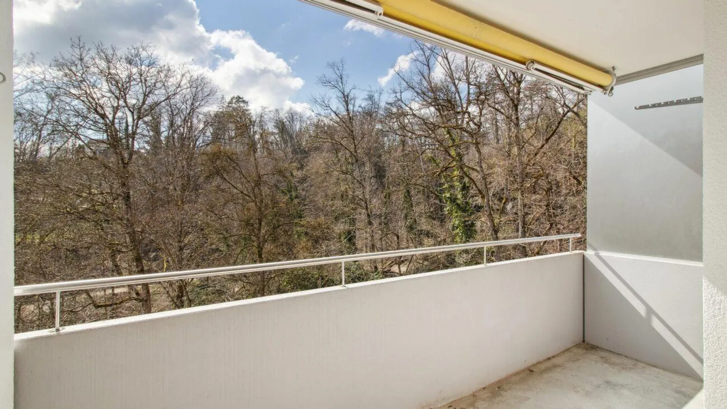 Appartamento 1.5 stanze appena ristrutturato e vicino alla natura - Foto 10 di 13