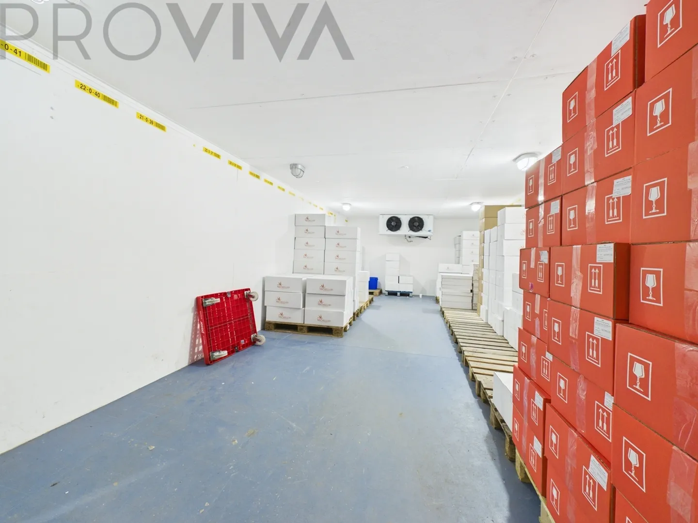 Capannone, Appartamento in affitto & Azienda - Pacchetto completo - Foto 5 di 6
