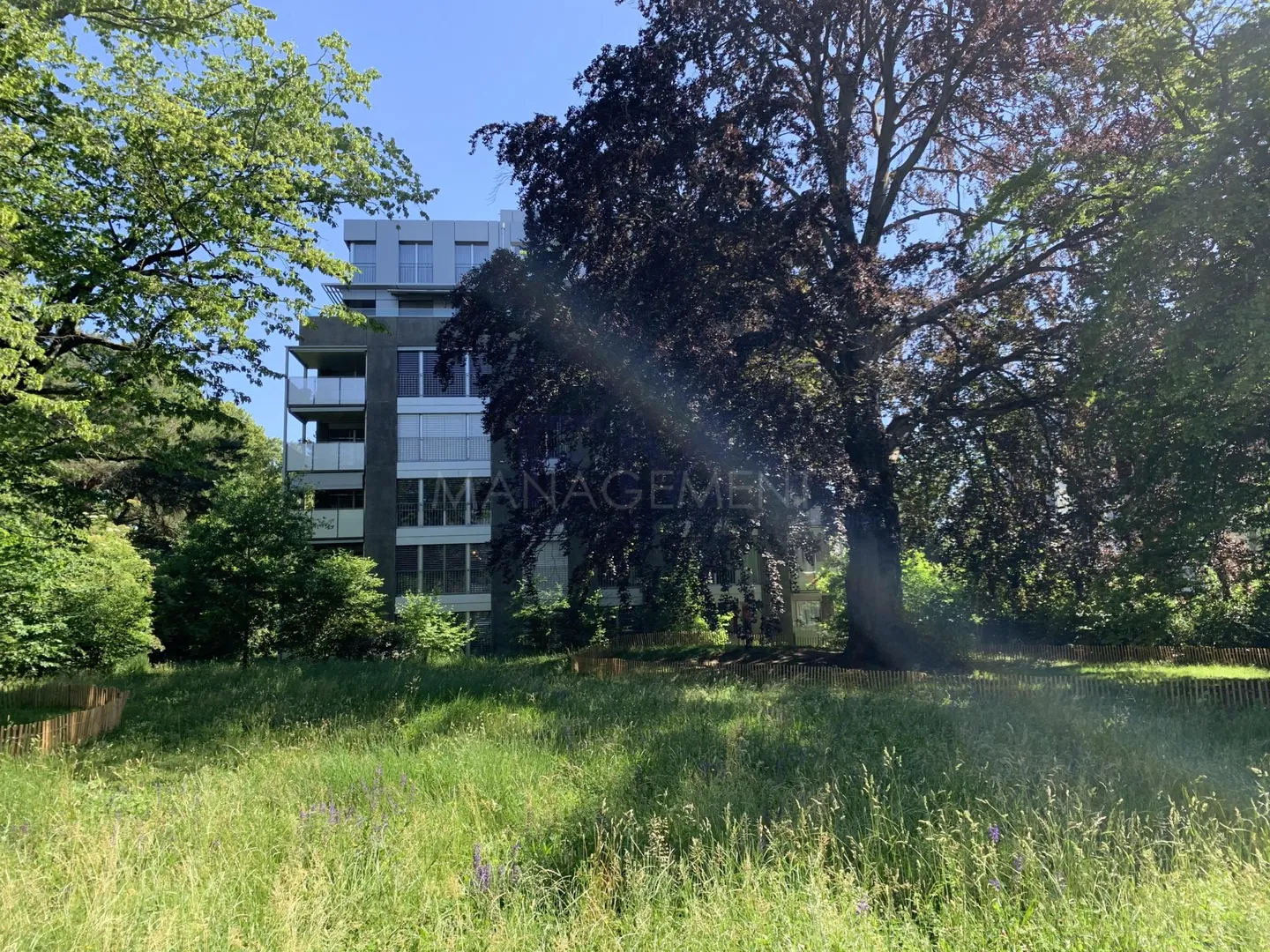 Florissant - Malagnou - Ch. de la Florence, 5 pièces, au rez - Photo 23 sur 23