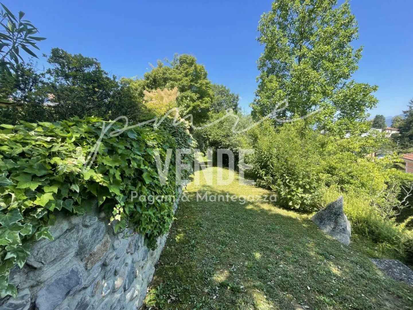 Bellissimo vivere nel verde - Foto 2 di 7