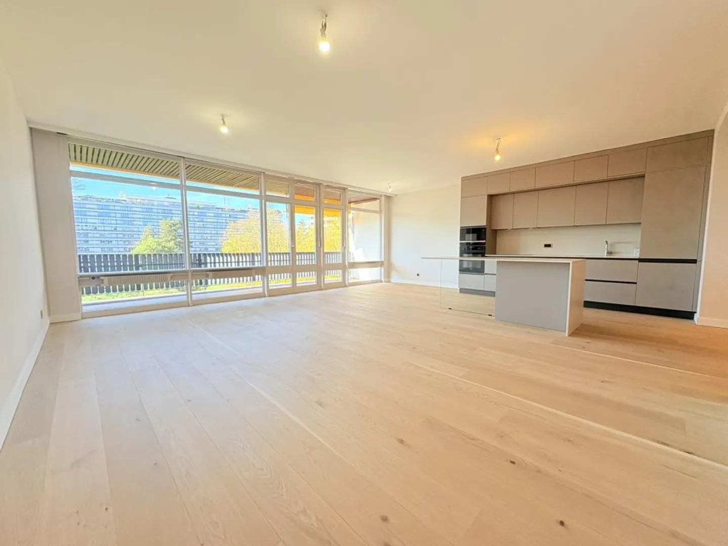 Vollständig renovierte 5-Zimmer-Wohnung - Avenue de Budé - Foto 3 von 13