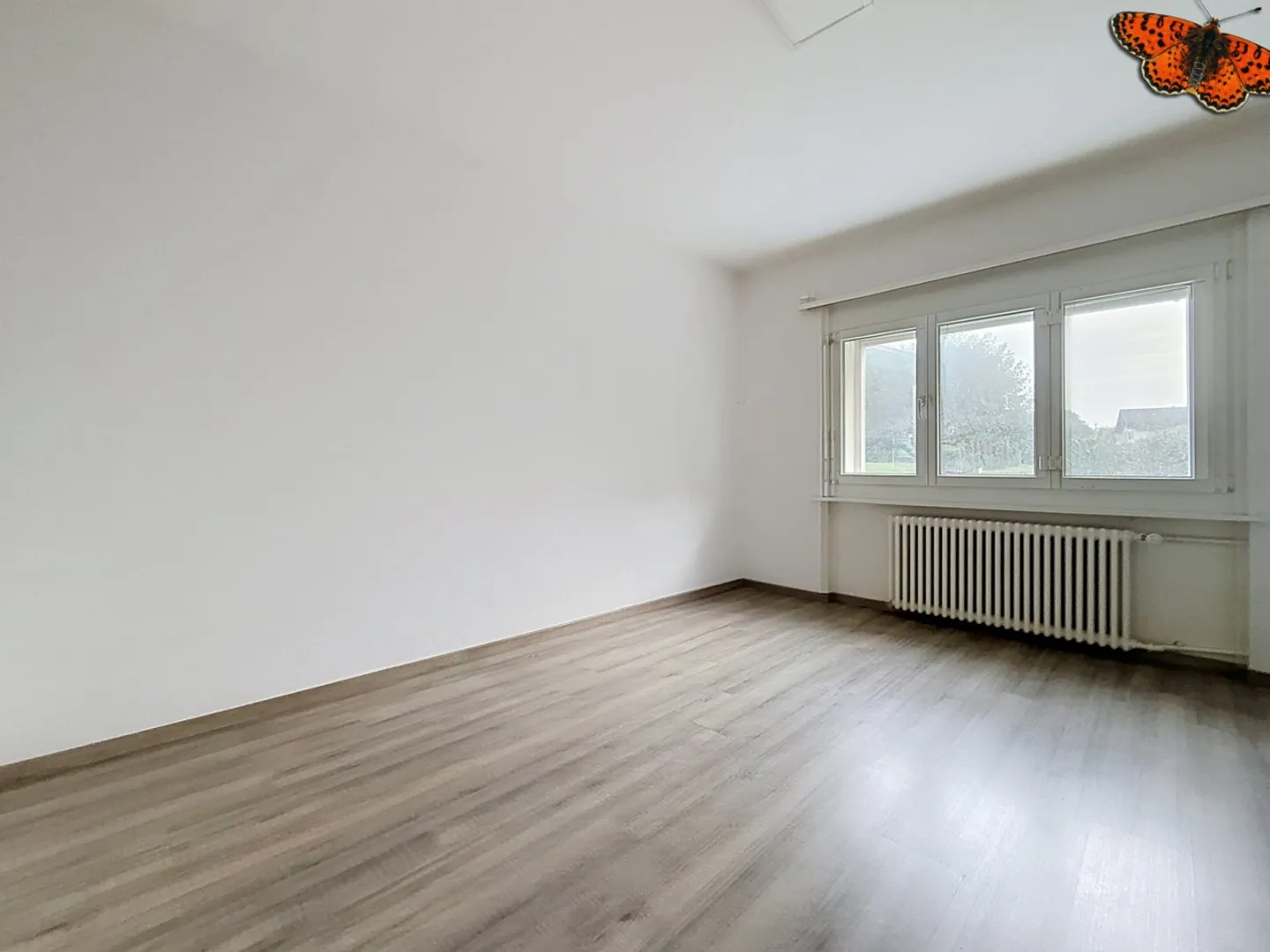 Charming Apartment in Quiet Area - Photo 3 of 6