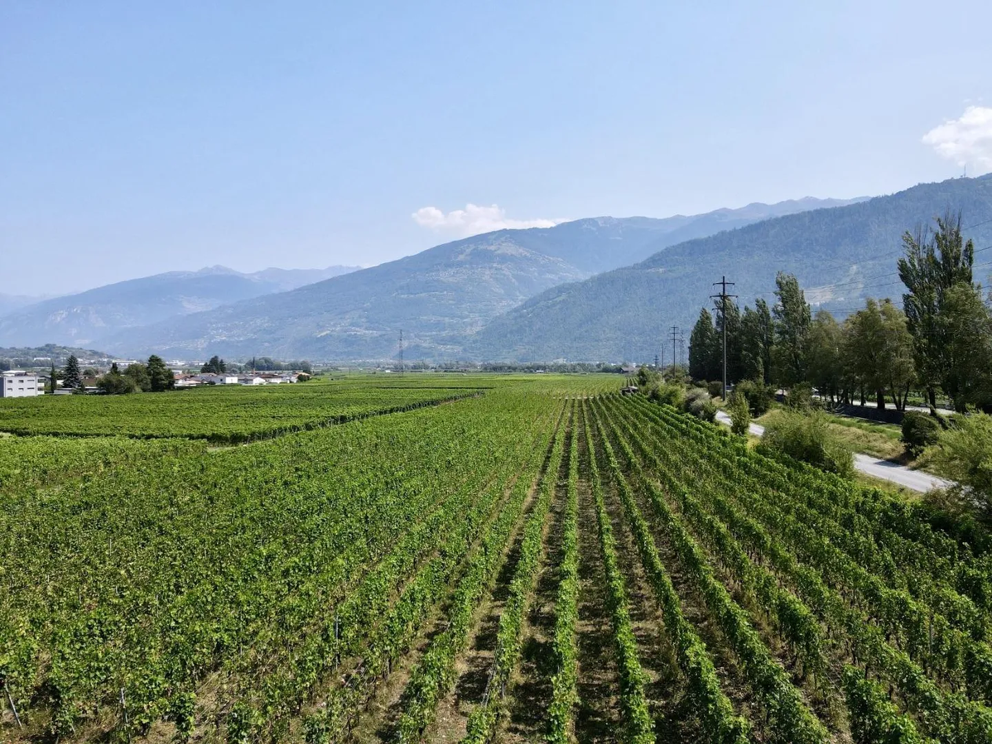 The Amignes - 3.5 Room Attic, Extraordinary View - Photo 4 of 4