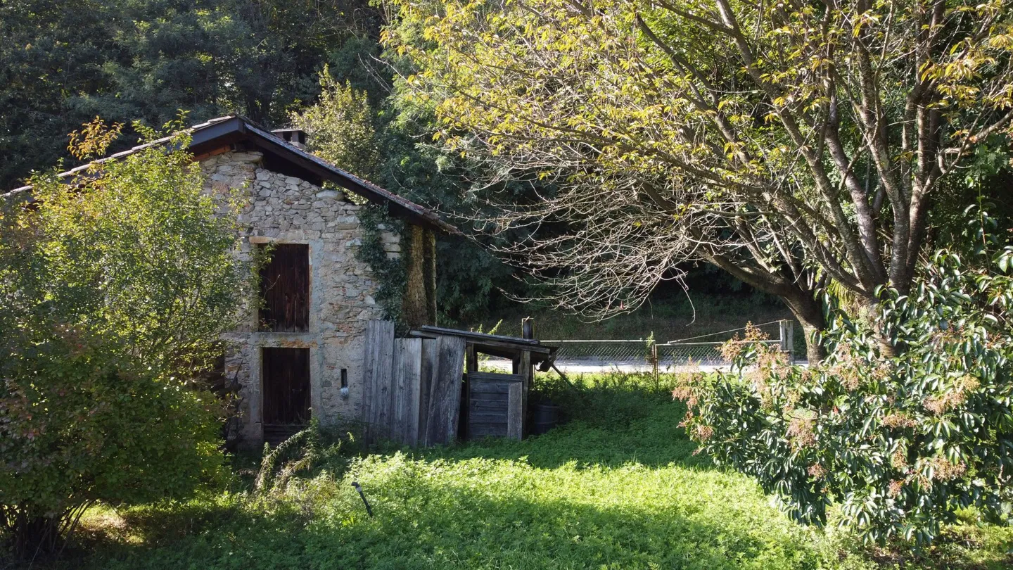 Terreno edificabile in pianura per residenza primaria - Foto 6 di 8