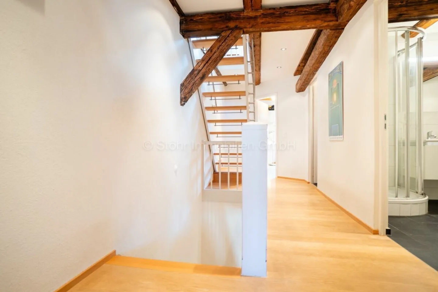 Charming 4.5 Room Triplex Apartment in a Unique Location - Photo 22 of 23