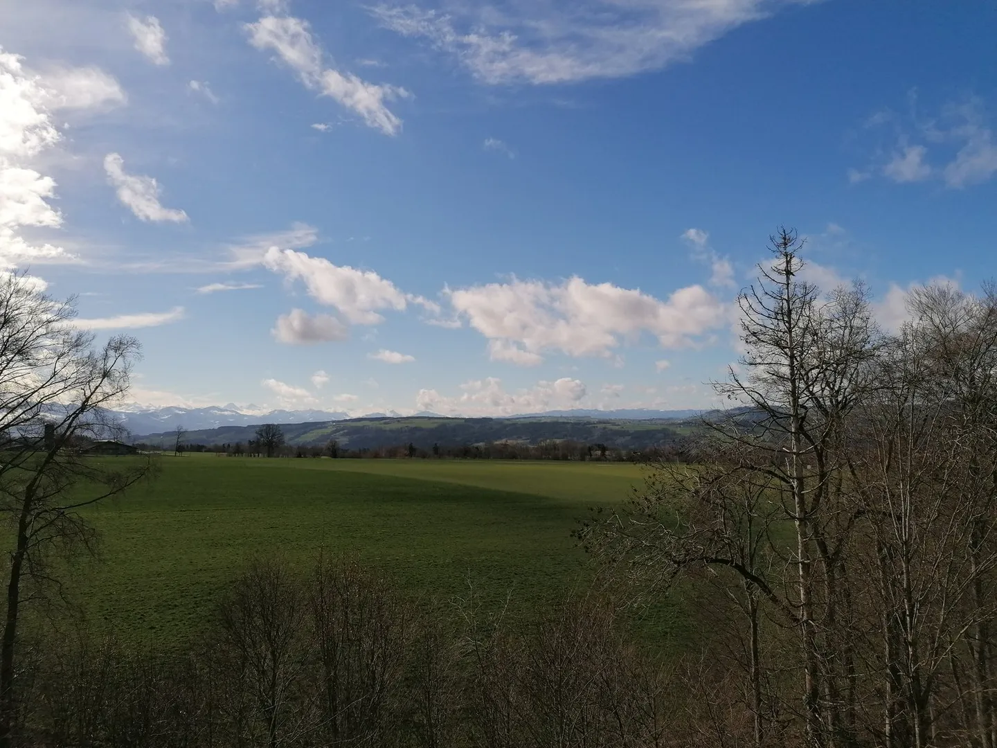 Ihr neuer Gewerbestandort: 420 - 1'000m2 Büroflächen im Edelrohbau mit Terrasse 240m2 und Aussicht - Foto 16 von 20