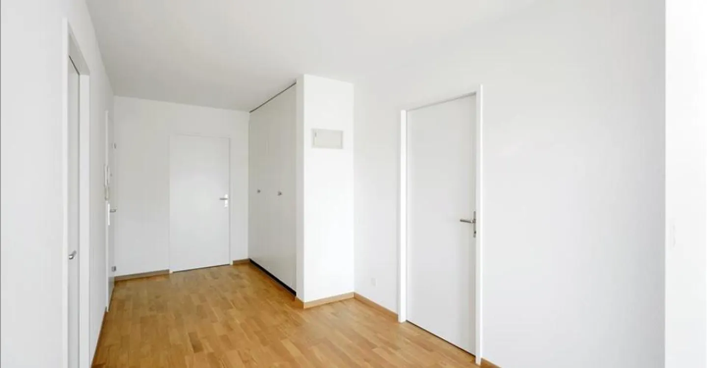 Appartamento luminoso e moderno a Binningen - Foto 11 di 12