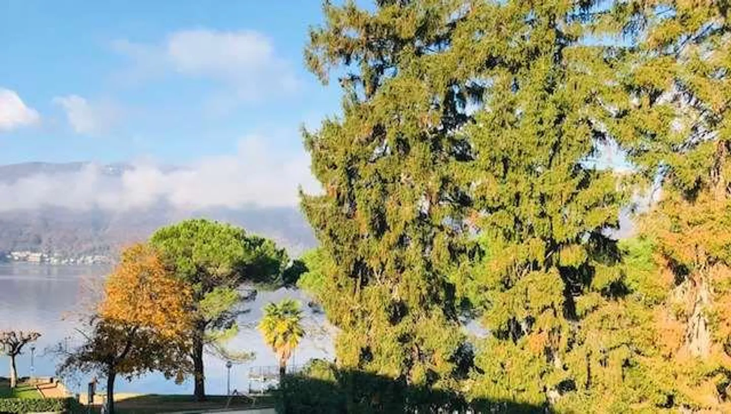 Elegante appartamento 3,5 locali al lago - Foto 5 di 13
